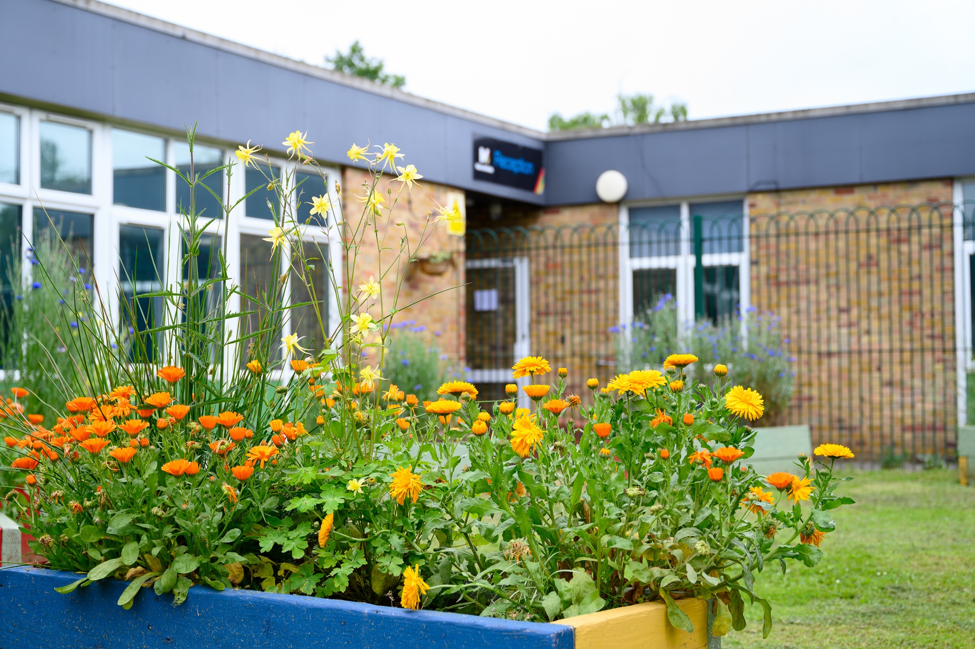 Flowers in front of the school building